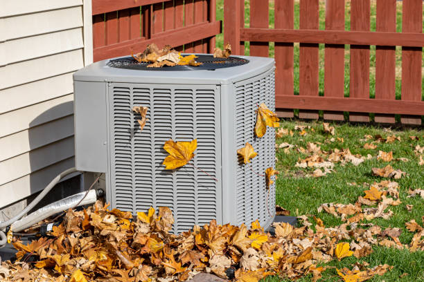 Best Heating Repair Services  in Wyoming, DE